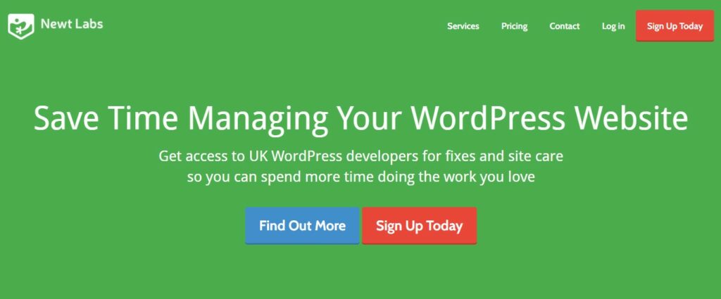 Newt Labs Wordpress Maintenance Service Provider