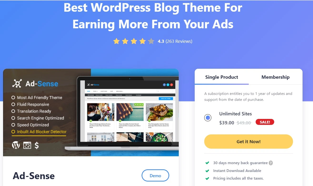 Adsense Wp Theme