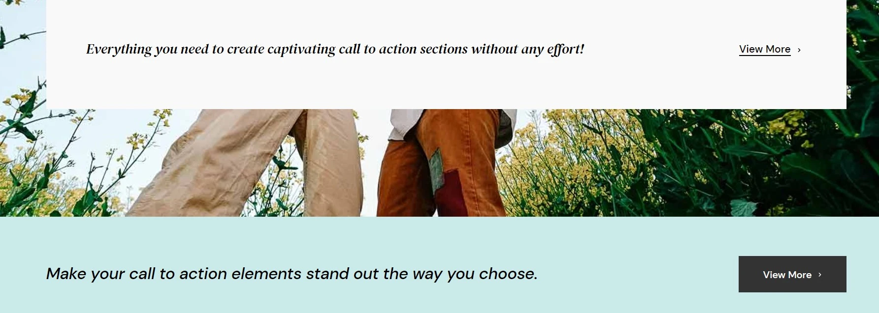 Qi Add On  Widget Call To Action