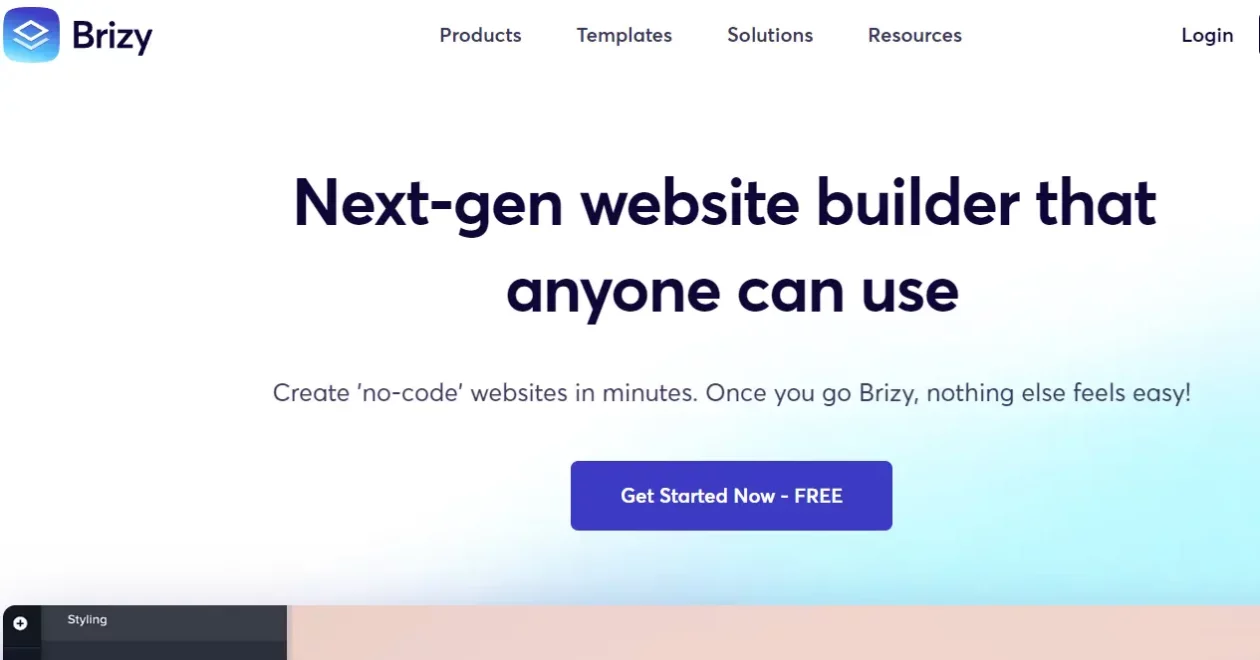 Brizy Page Builder Homepage