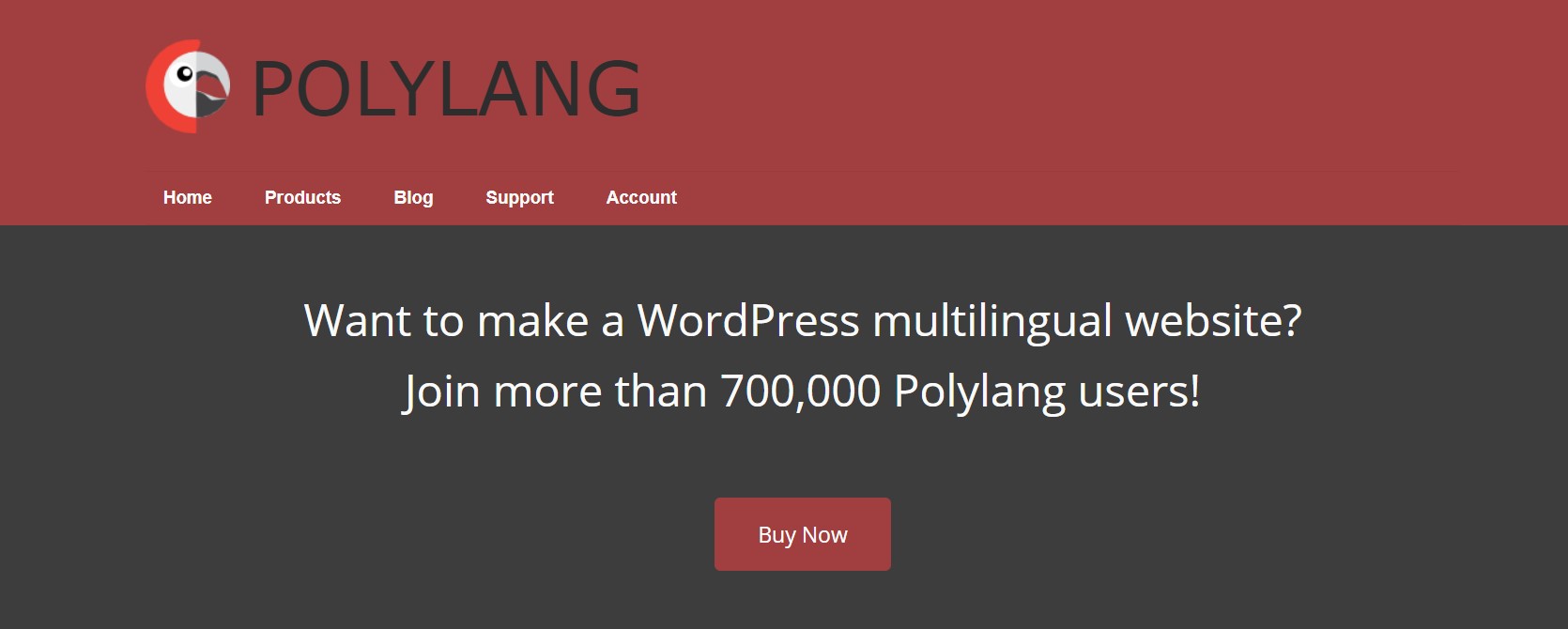 Polylang Makes Your Wordpress Website Multilingual